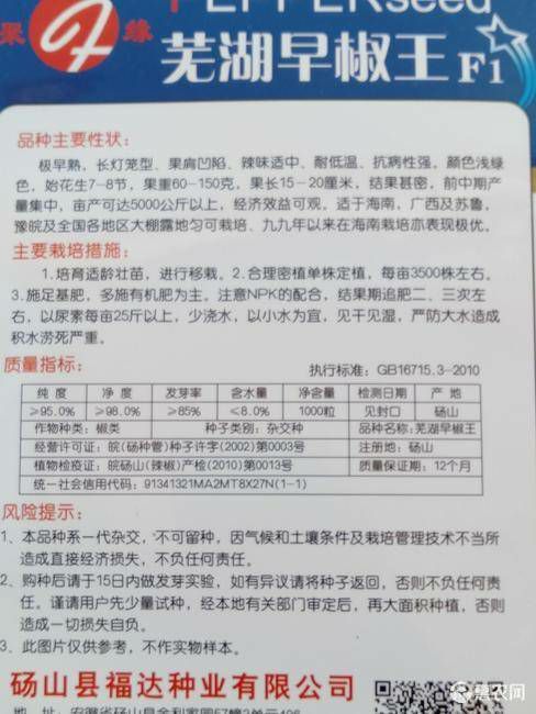 泡椒种子芜湖椒王、早熟抗病性强、产量高