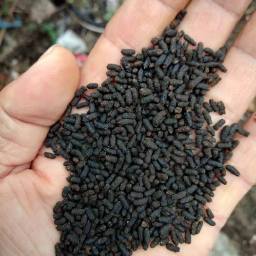 南阳 蛴螬粪天然有机肥改良土壤