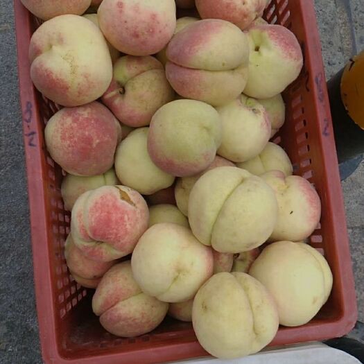 嘉祥县金秋红密桃 55mm以上 3 - 4两