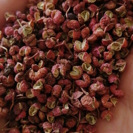 二級大紅袍花椒顆粒凈椒曬干貨產(chǎn)地一手原裝貨推薦48小時發(fā)貨