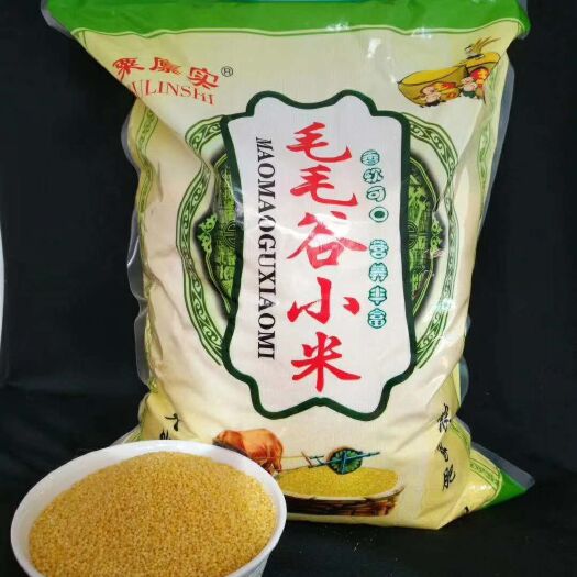 翁牛特旗毛毛谷小米  新米 产地直发  质优价美