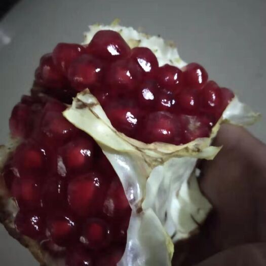 灵宝市 软籽石榴