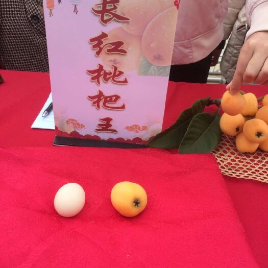 蒙自市 枇杷营养丰富，口感鲜甜，具有清肺之功能，是重要的保健果品