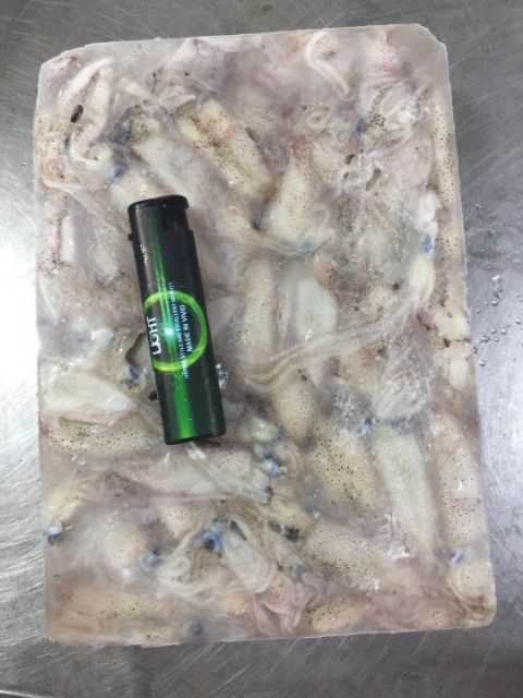  小鱿鱼三到五公分，北海现货出售