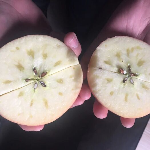 白银 冰糖心苹果
