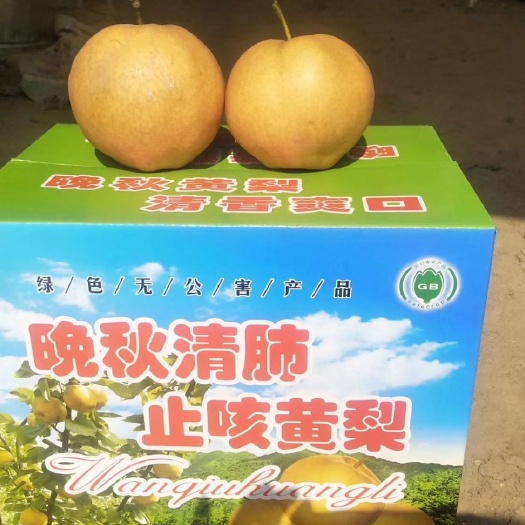菏泽黄梨 65mm以上 300-350g