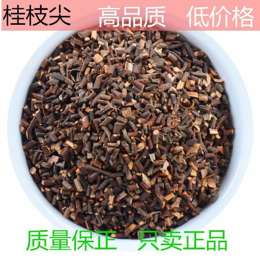 桂枝  正品 无硫高含量 调料药用  包邮到家