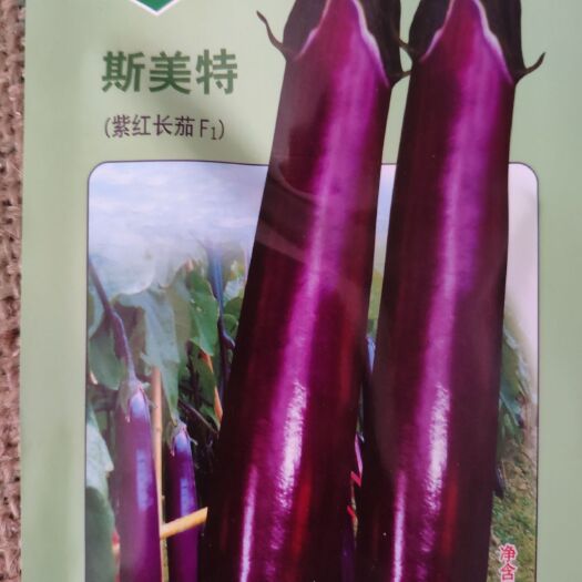 余干县斯美特紫红长茄茄子种子 深紫红色亮丽单果300克
