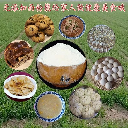 冠县面筋粉  自家面粉