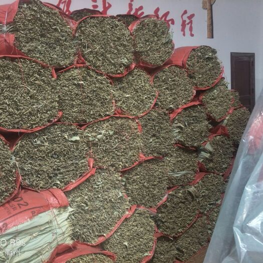 开化县阔叶箬竹 现有优质干箬叶出售