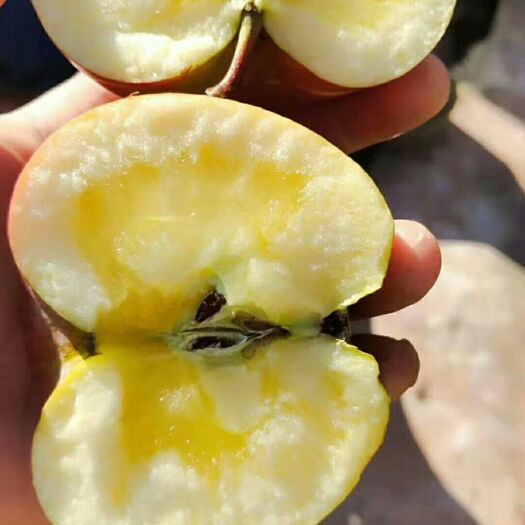 西昌市 离太阳最近的“糖心红苹果”，一咬甜汁，连皮都要吃光光