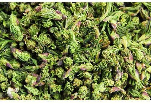 珍珠花菜  xuan

鲜珍珠花