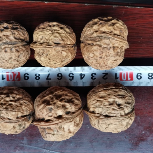 成都 野生紫仁薄皮茶树核桃，