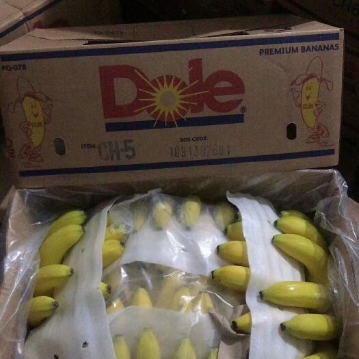 北京 菲律宾香蕉，国产蕉，品种多，