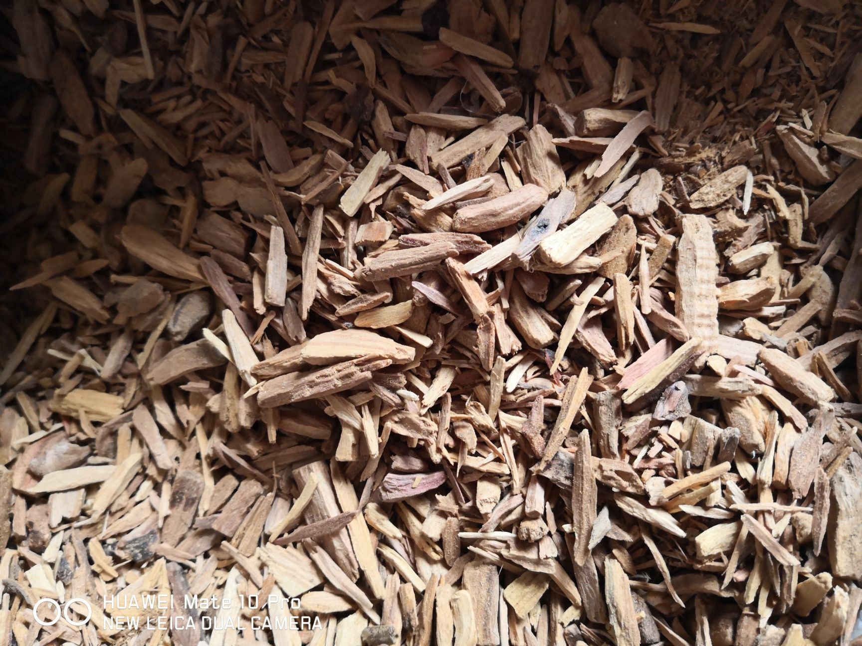 檀香 根部干货切条 含量足 做香好料