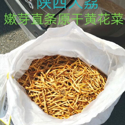 大荔县 陕西大荔直条七芯嫩芽黄花菜