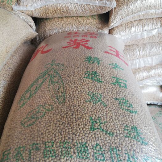 玉林翠扇大豆 苏北长黑眼又名翠扇，价格中等，利用率高