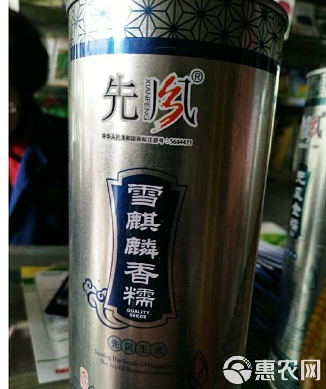 甜加糯玉米种子