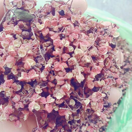 积石山县临夏花椒 最后剩的不多了，只有十来斤，颜色好，干度好，子粒大，要的联系