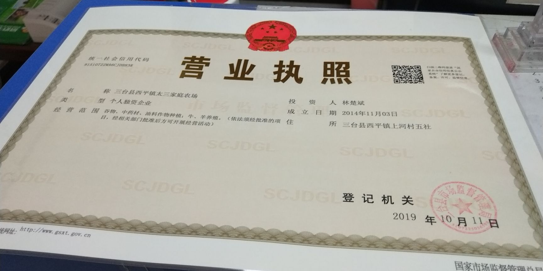 麦冬草基地直销，质量保证，免费技术指导，可开正规发票