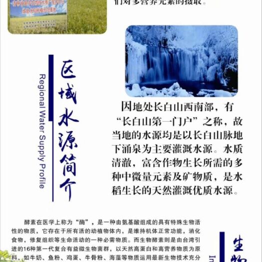 辉南县稻花香大米 一等品 一季稻 粳米
