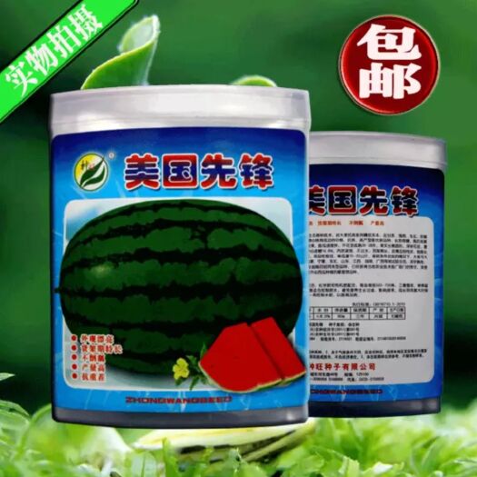 樟树市美国先锋引进大果西瓜种子瓜王抗重茬不倒瓤原装80g包邮
