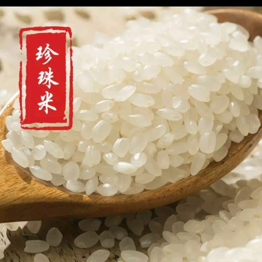 辽阳县 东北大米黑龙江圆粒，现磨大米！