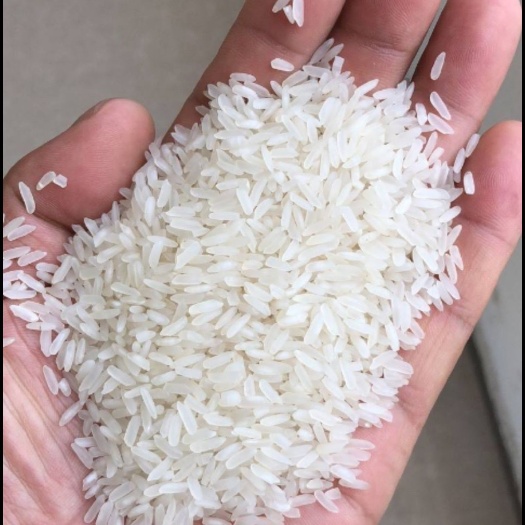 沭阳县贵潮米 一等品 一季稻 籼米 桂朝米 一等品 一季稻 籼米
