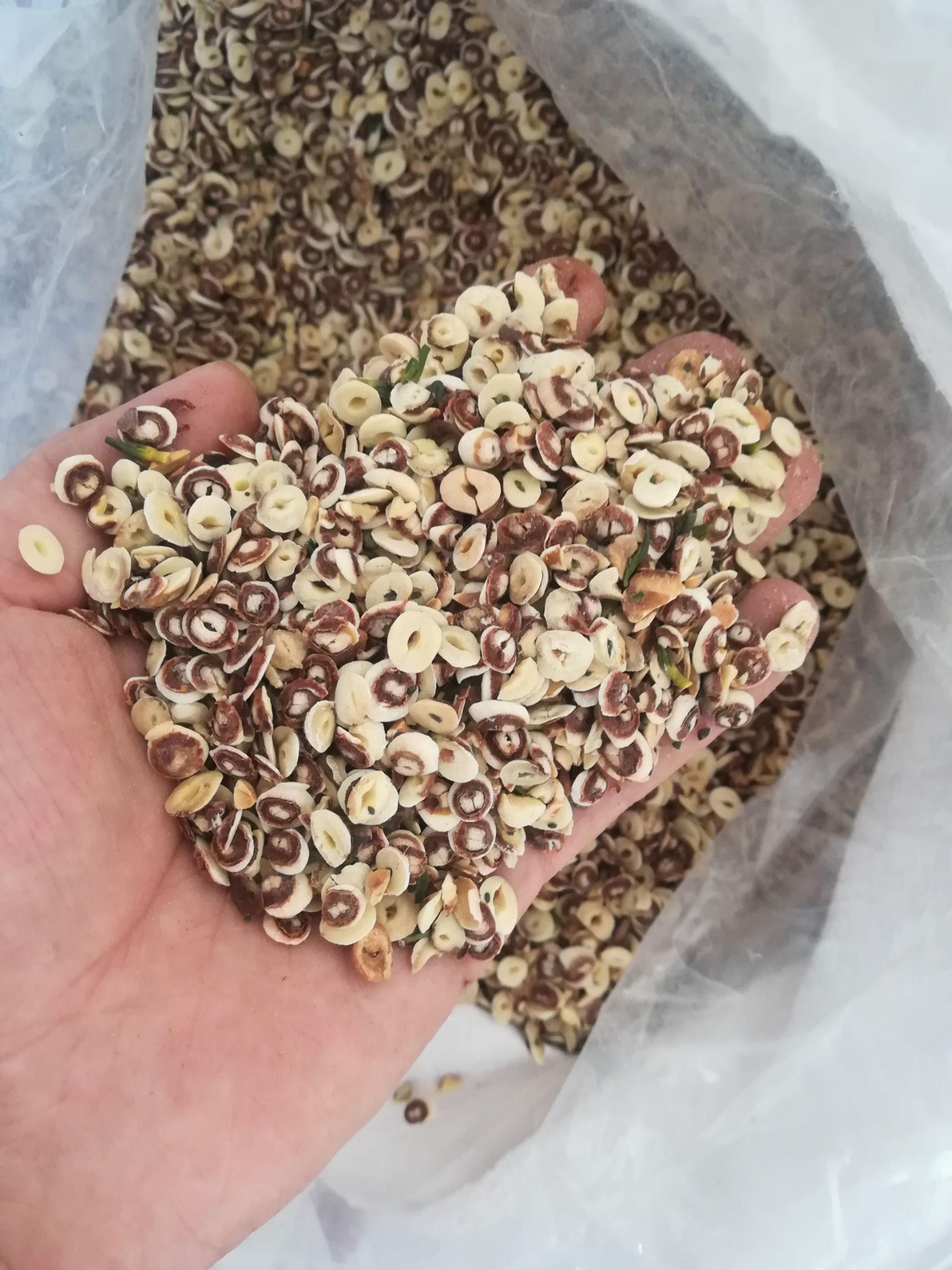 湘莲  湖南碎莲子  酿酒原料 自家工厂 直供