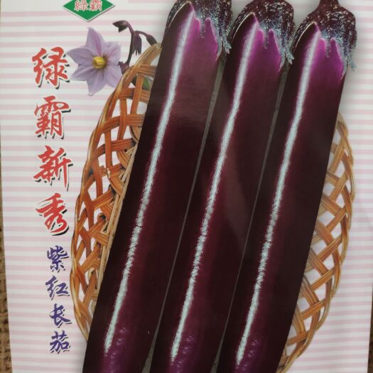 余干县茄子种子  绿霸新秀茄子1000粒，深紫红色中早熟,果条顺直