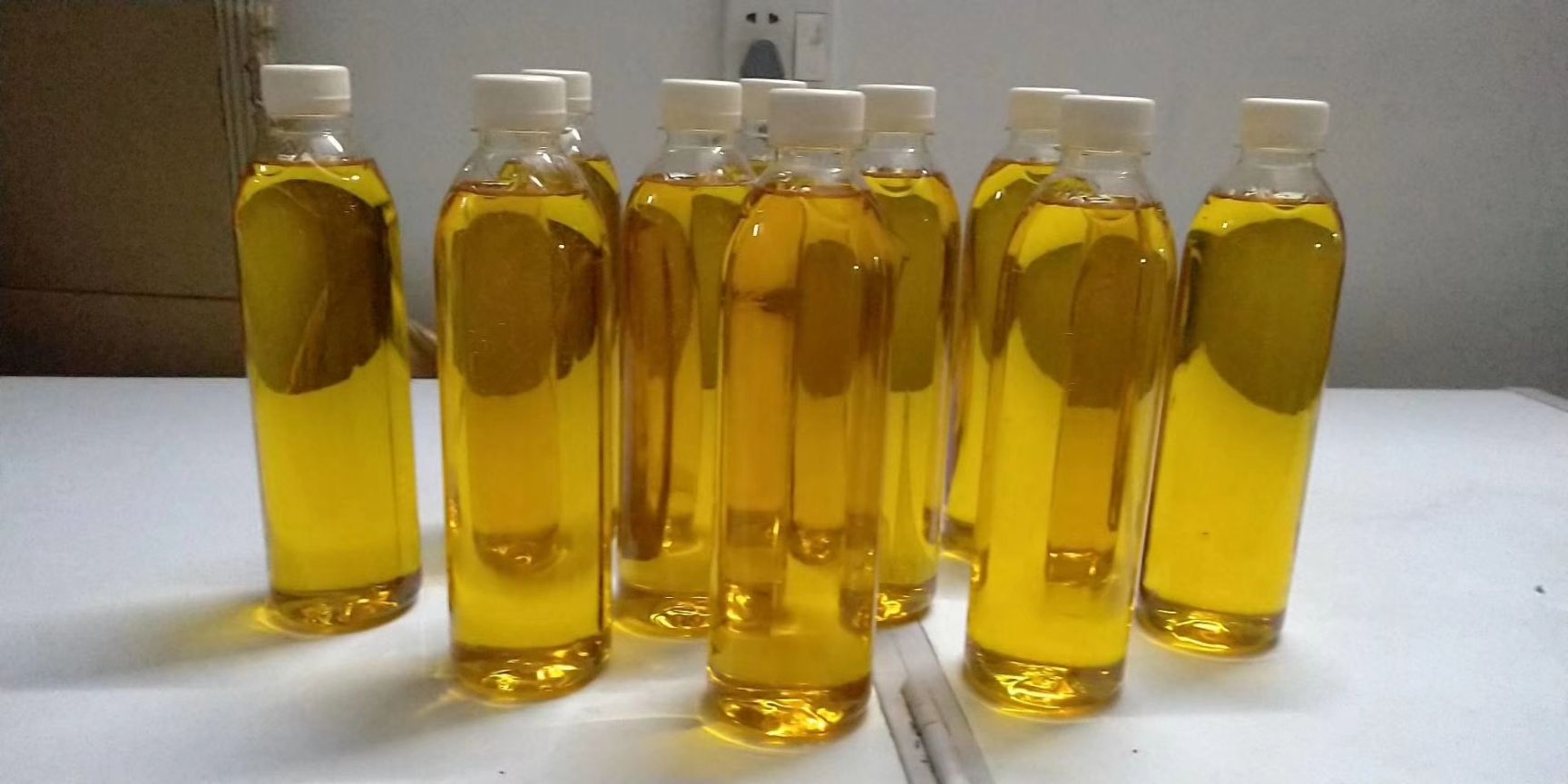  500ml 大别山 古法冷榨压榨野山茶油