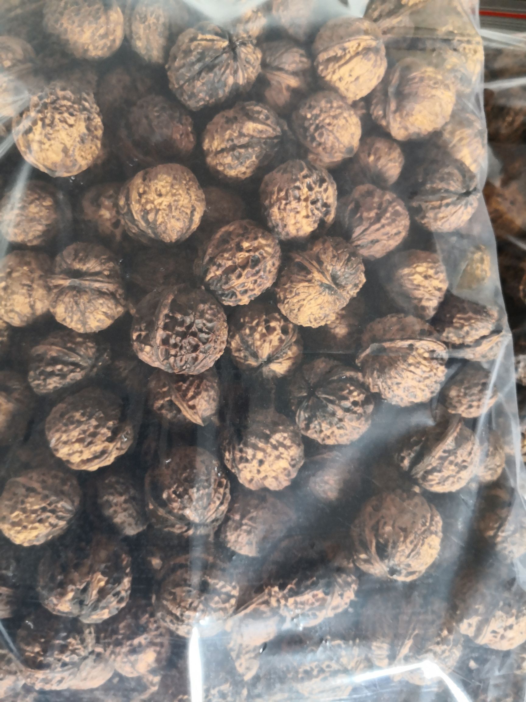  老树核桃