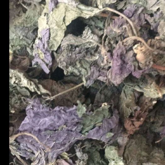重庆市 批发干紫苏叶，量大从优，欢迎选购。