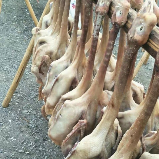 南京腌鹅  带包老鹅大白鹅老咸鹅夏爱频农产品