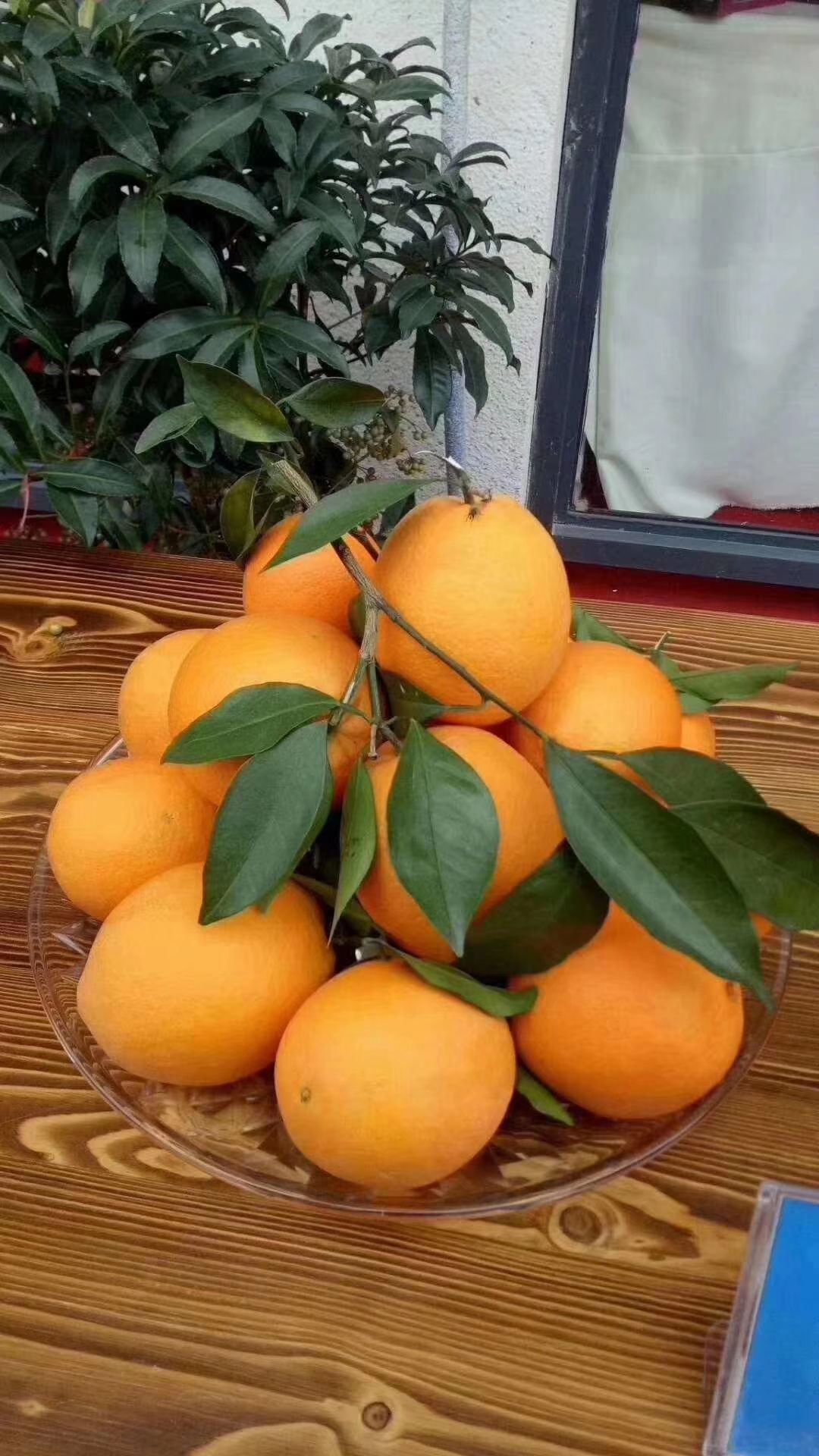  正宗赣南脐橙原产地直销、不催熟、不打蜡、不泡药、天然、