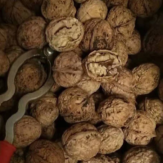 成都 云南麻子核桃 支持代发