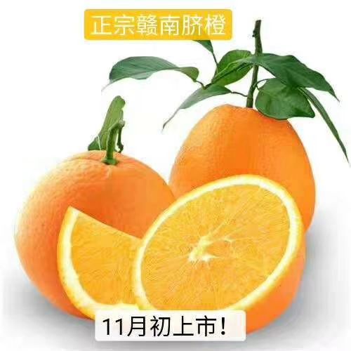  正宗赣南脐橙原产地直销、不催熟、不打蜡、不泡药、天然、