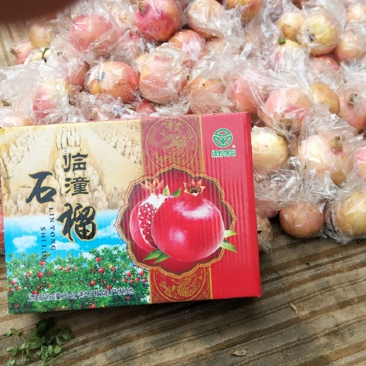 西安 龙之谷临潼石榴
