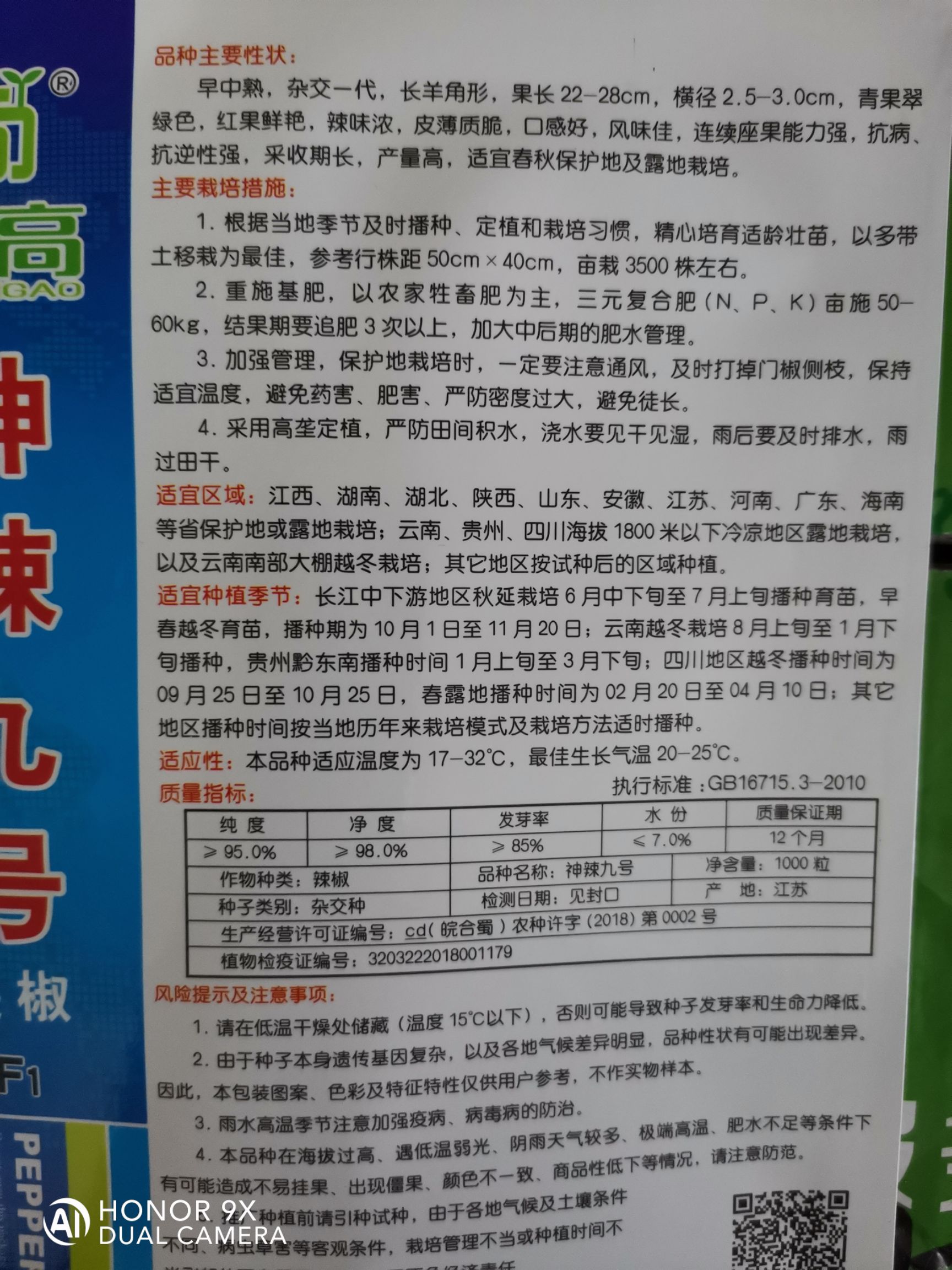 善椒九号杂交辣椒种子高抗病丰产牛角尖椒大棚露地均可种植