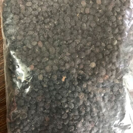 广州车桑子