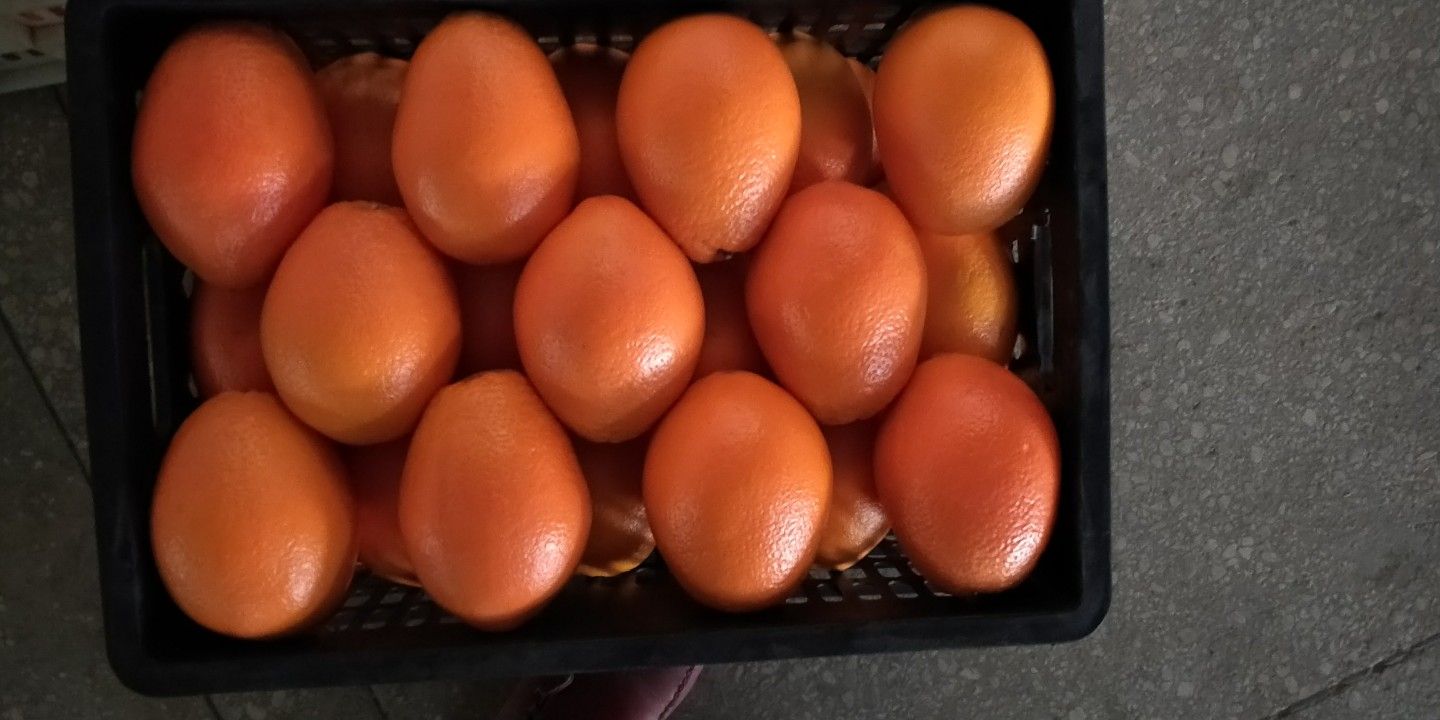  正宗赣南脐橙原产地直销、不催熟、不打蜡、不泡药、天然、