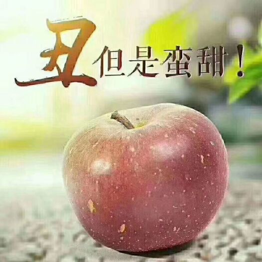 盐源县 盐源冰糖心苹果