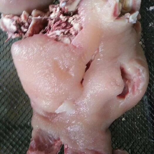 阳信县牛头 保质保量，价格便宜