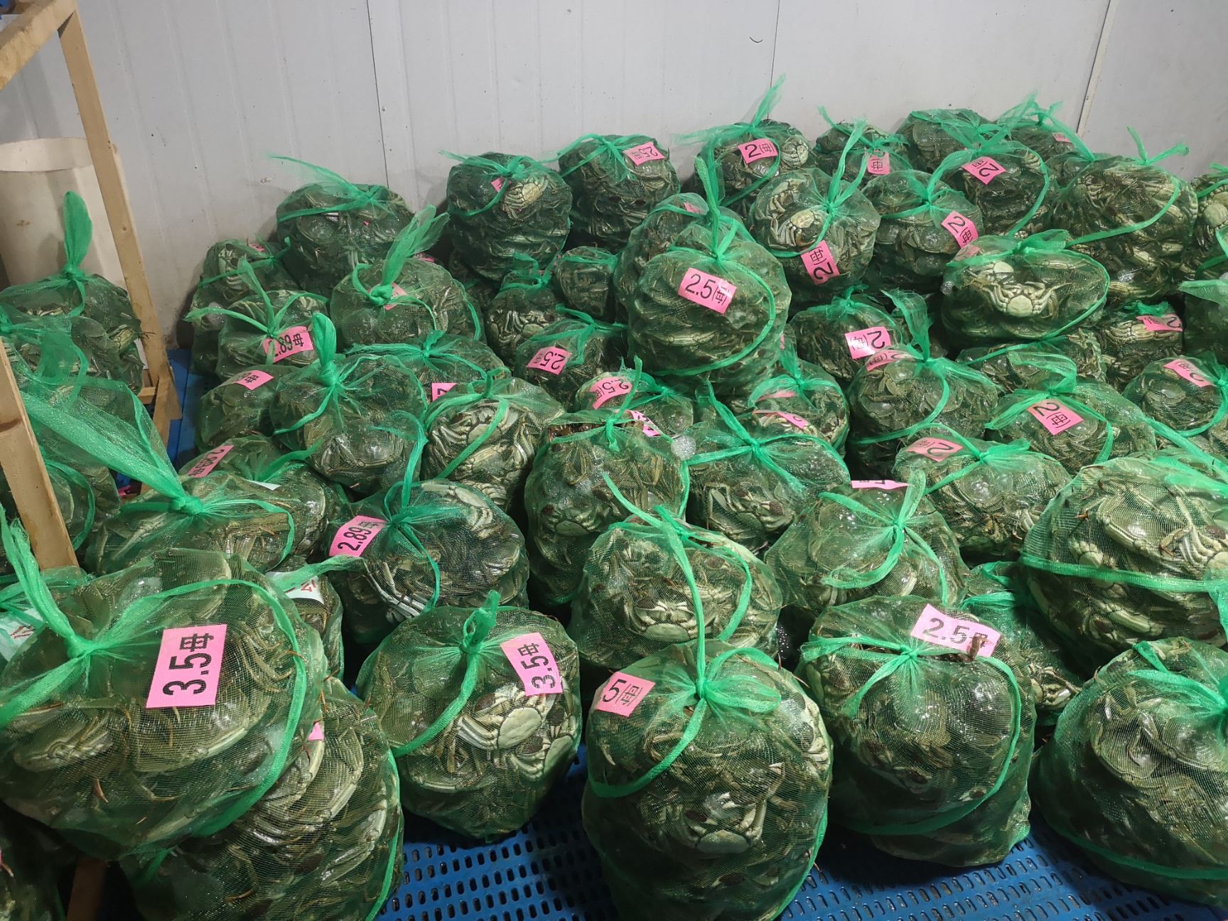  兴化红膏大闸蟹