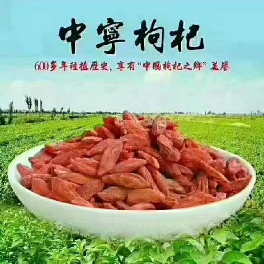 中宁县 中宁枸杞性平，味甘。滋补肝肾，益精明目。用于虚劳精亏、腰膝酸