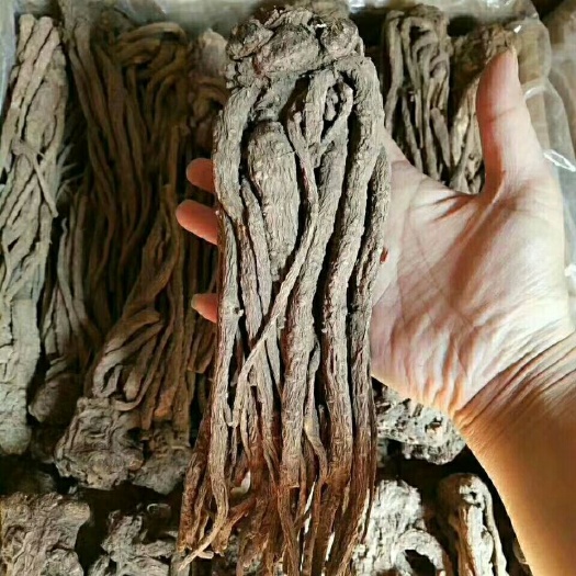 岷县岷当归 源产地，无硫，绿色环保。道地药材，一手货源