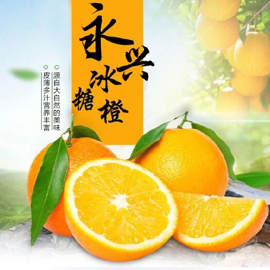 永兴县优质果，甜蜜如初恋的永兴冰糖橙，60—65果径