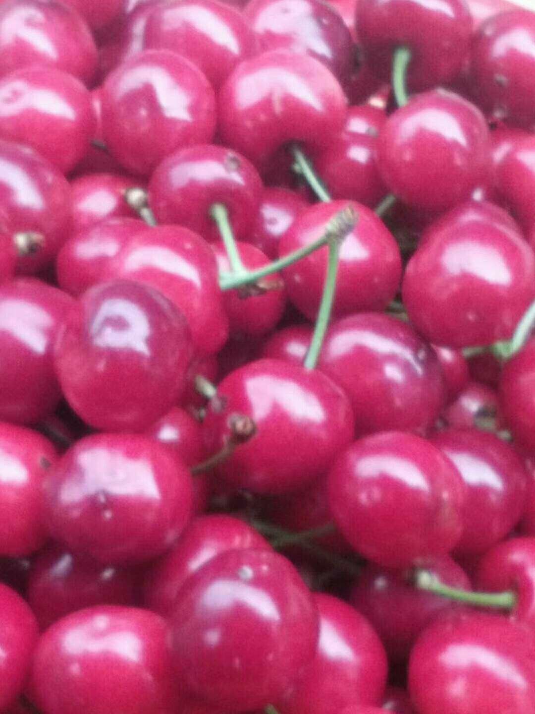 脆红李 70mm以上