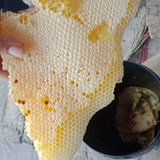 兴义市 天然土蜂蜜，有假包赔