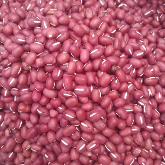 桦甸市大红豆 19年红小豆新货，品质好，货干，需求量大的联系李建成